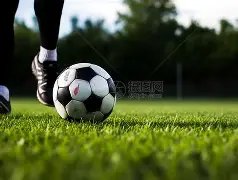 长发新锐蓄,势待发,挑战五连胜,星空娱乐官网,星空娱乐官网在线娱乐平台